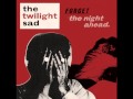 The Twilight Sad - That Birthday Present