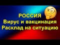 Россия. Вирус и вакцинация. Расклад на ситуацию.