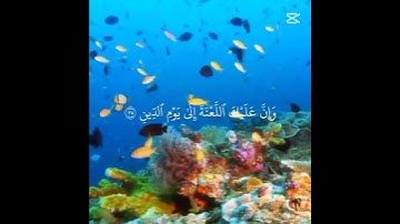 قران كريم❣#قرآن #قران_كريم #هزاع_البلوشي #اكتب_شي_تؤجر_عليه #راحة_نفسية #fyp #foryou #fouryoupage