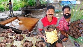 Traditional Jaggery Making | കരിപ്പെട്ടി ഉണ്ടാകുന്ന പാരമ്പര്യ രീതി | M4 Tech |