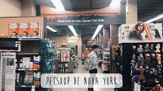 PET SHOP EM NOVA YORK I NY