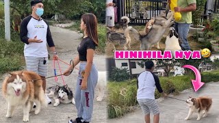 Pack Members Trained For The First Time | NAHIRAPAN SI SIR ALVIN | Husky Pack TV | Vlogmas 2021