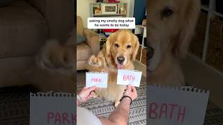 Celebrity gary haz gone too far!😳#justiceformarley #goldenretriever #mansbestfriend Net Worth