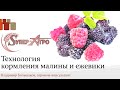 Питание малины и ежевики