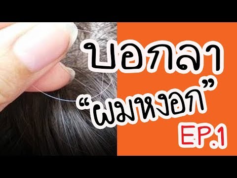 บอกลาผมหงอก..!! EP.1 ผมหงอกก่อนวัยด้วยเหตุนี้เอง หาทางแก้ก่อนสายไป | Nava DIY