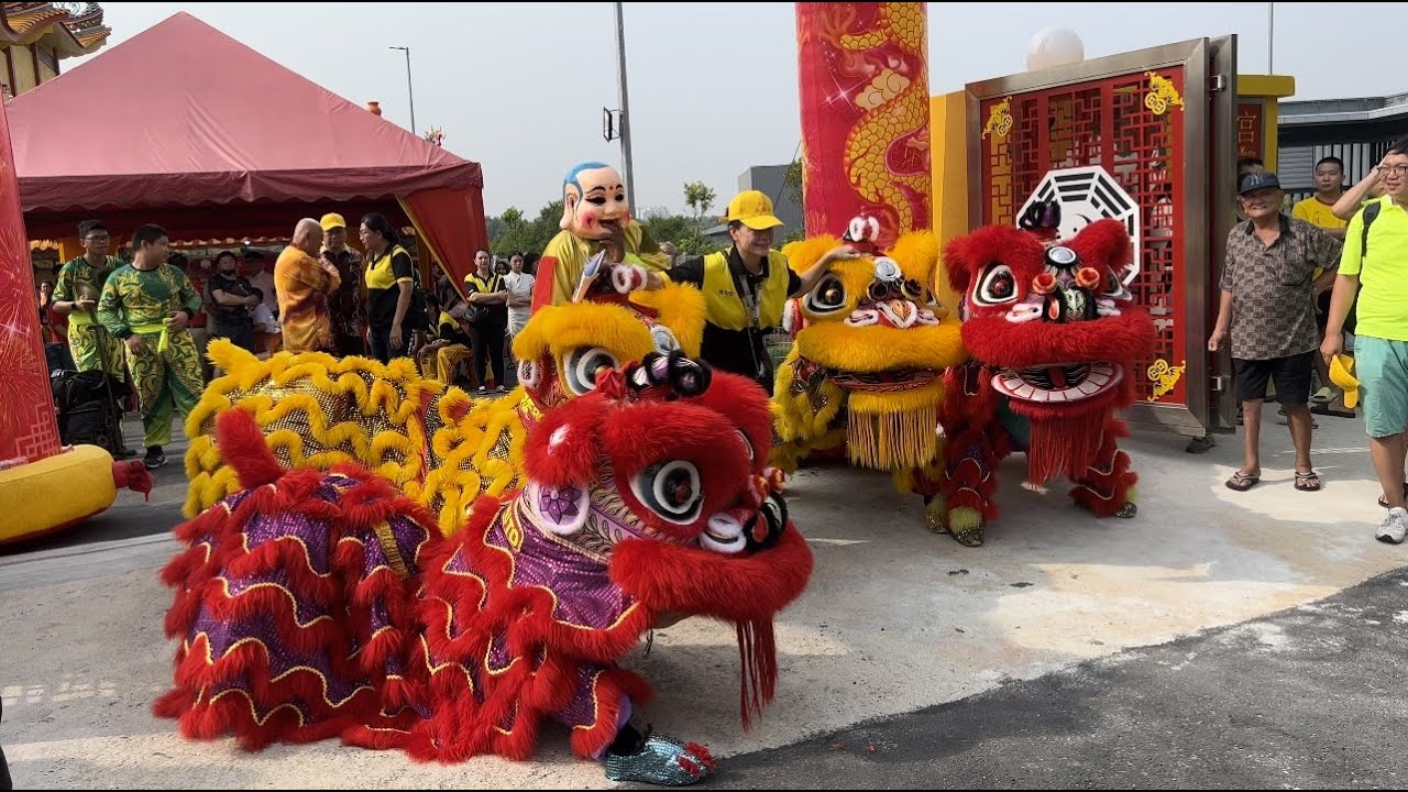 Deity and Guest Receiving by 巴生公商俱樂部舞獅團 at the Dewa Tew Seng Keng Temple (巴生公商俱樂部舞狮在巴生張聖宫參), Klang