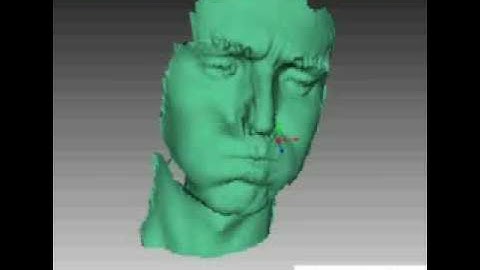 Artec 3D Scanner - Computer Animated Human Head