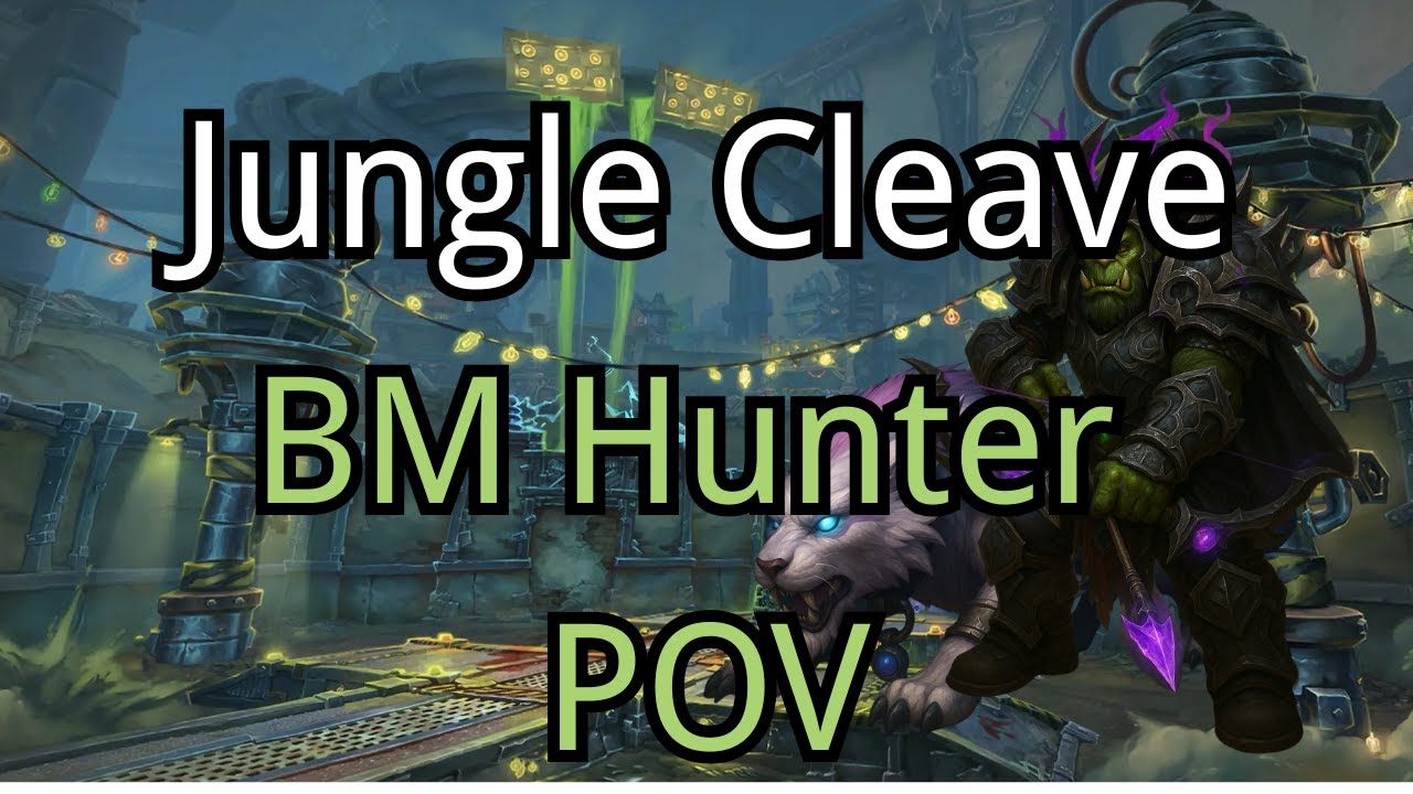 Jungle Cleave 3v3 — BM Hunter POV | WoW 11.1.5