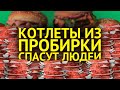 МЯСО ИЗ ПРОБИРКИ | Спасение человечества или обман?