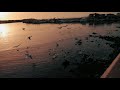 ياطير سنونو سلملي ع عيونو