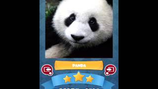 What`s The Picture: Scratch It - Animals HD Quiz Walkthrough | Solution screenshot 3