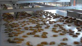 Sistema Di Smistamento Biscotti - Prl Tecnosoft