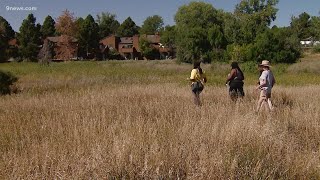 Aurora family searches for missing teen