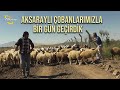 Aksaraylı Çobanlarımızla Bir Gün Geçirdik - Çobanla Baş Başa