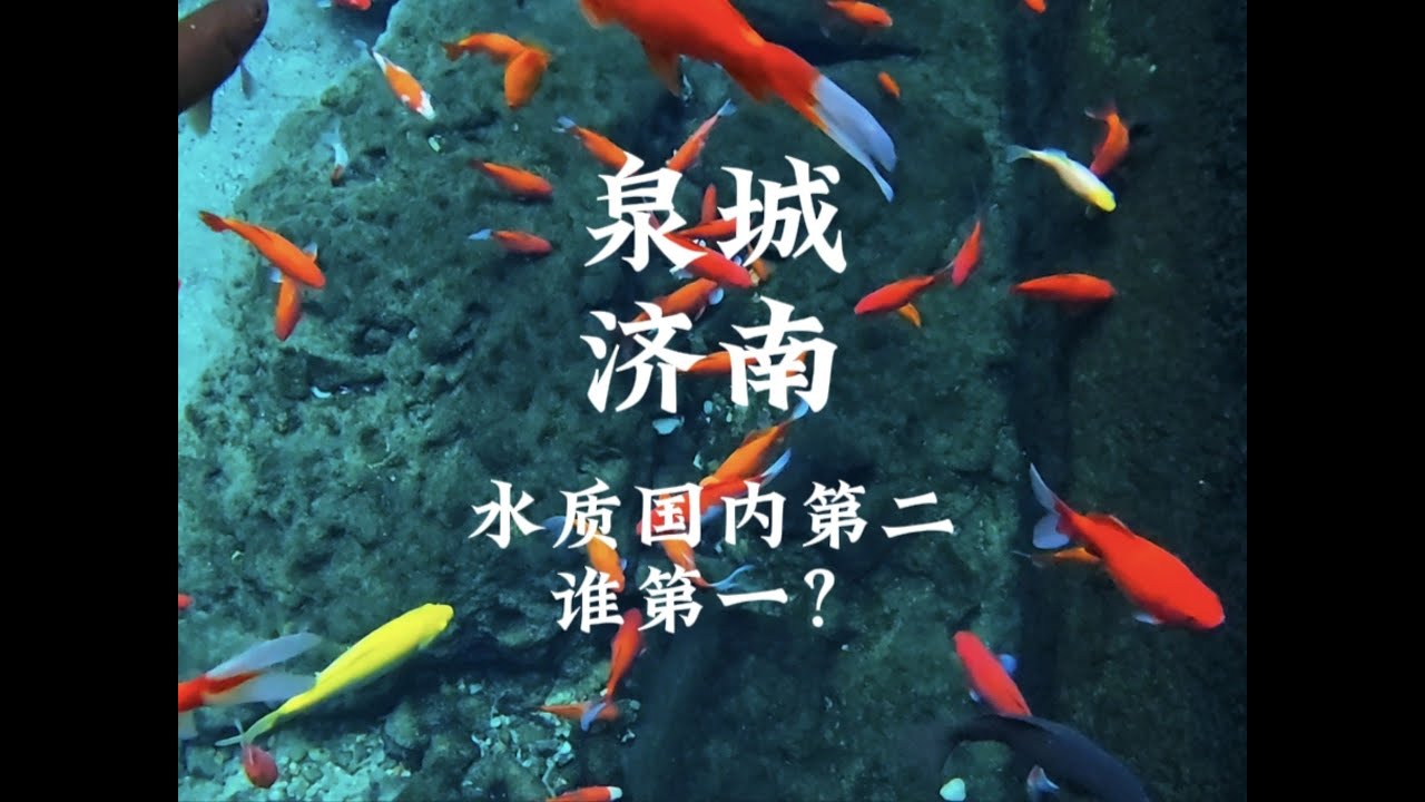 泉城济南，水质刷新了我的三观。一点不像北方的北方城市。一定要来一趟老舍笔下的济南。