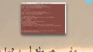 git reset mixed convert video online com