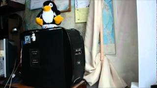 Cat vs. DVD Drive