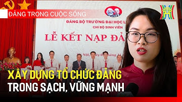 Xây dựng tổ chức Đảng trong sạch, vững mạnh | Đảng trong cuộc sống