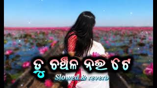 🎧Tu Chanchala Nai Te 💖☘️ || odia romantic lofi song 💕 (slowed& reverb ) lofi song  screenshot 4