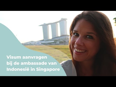 Video: Hoe Een Visum Aanvragen Bij De Ambassade