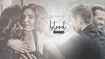 multirelationships || you