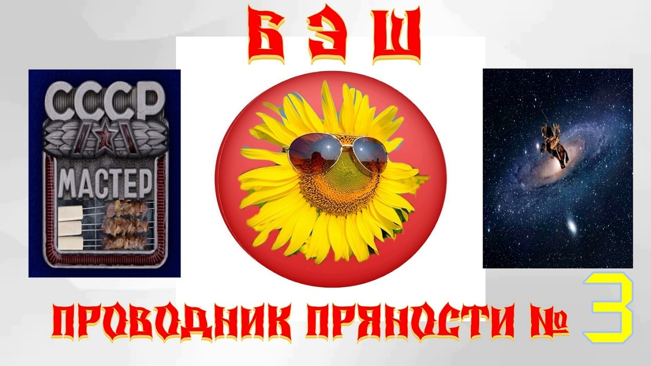 БЭШ ПРОВОДНИК ПРЯНОСТЕЙ № 3. Без него никуда, шашлык мангал шампур плов