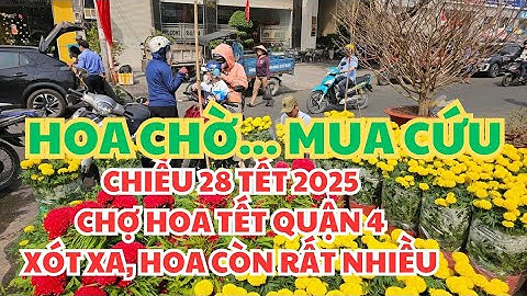 CHỢ HOA TẾT QUẬN 4, CHIỀU 28 TẾT 2025: XÓT XA, HOA CÒN ĐẦY NHÓC CẢ CON ĐƯỜNG, VẠN THỌ 50K CHỜ CỨU!