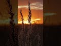 الآية التي هزت القلوب فخلف من بعدهم خلف أضاعوا الصلاة بصوت وديع اليمني الآية التي هزت القلوب فخلف من بعدهم خلف أضاعوا الصلاة بصوت وديع اليمني