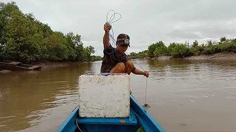 Cá ngát cá út gỡ mỏi tay luôn.trúng mánh rồi.