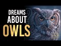 Owls Dream Meaning - Biblical Meaning of Owls In Dreams