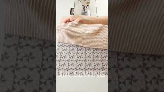 Download Lagu Autumn Corduroy Hand Bag👜🍂 | DIY | Quick Sewing Tips No.205 (Full Video in Related Video) MP3 Download Lagu Autumn Corduroy Hand Bag👜🍂 | DIY | Quick Sewing Tips No.205 (Full Video in Related Video) MP3