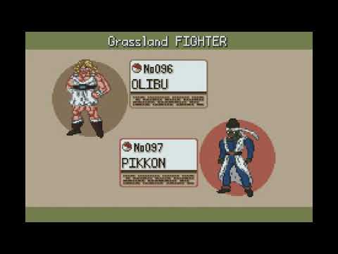 ドラゴンボール版ポケモンをプレイ()最期の洞窟へ