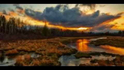 الآية التي أبكت الرسول عليه السلام طول الليل