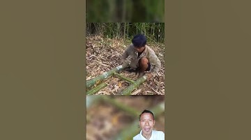 A one leg aadmi ne build a treehouse#treehouse#ytviralvideo