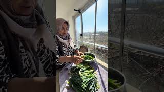 Çirişler Taopladım Temizleyeceğim