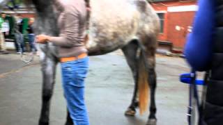 MVI_8011.avi