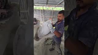 How Lime Is Made | Complete Lime Manufacturing Process | From Limestone to Quicklime | Manufacturess