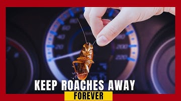 How to Get Rid of Cockroaches in Your Car