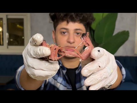 جربت لحمه بتستوي في الفرن لمدة12ساعه البريسكت