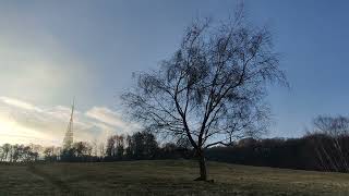 Kamzík TV Tower - ASMR SOFT SPOKEN - SUNSET ON MEADOW - SLOVAKIA MALE KARPATY-ANTISTRESS RELAXATION screenshot 5