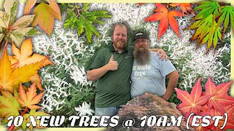 Tim Drop Ten Trees For his Epic Japanese Maple Birthday! 10@10 on the MrMapleShow Oct. 9, 2025
