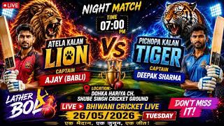 #Atela_kalan 🆚️ pichopa_kalan_Tiger live match dohka hariya cricket ground #bcl screenshot 1