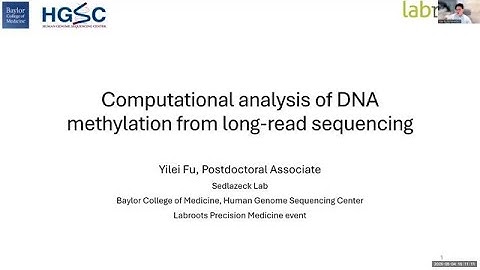 Computational analysis of DNA methylation from long-read sequencing