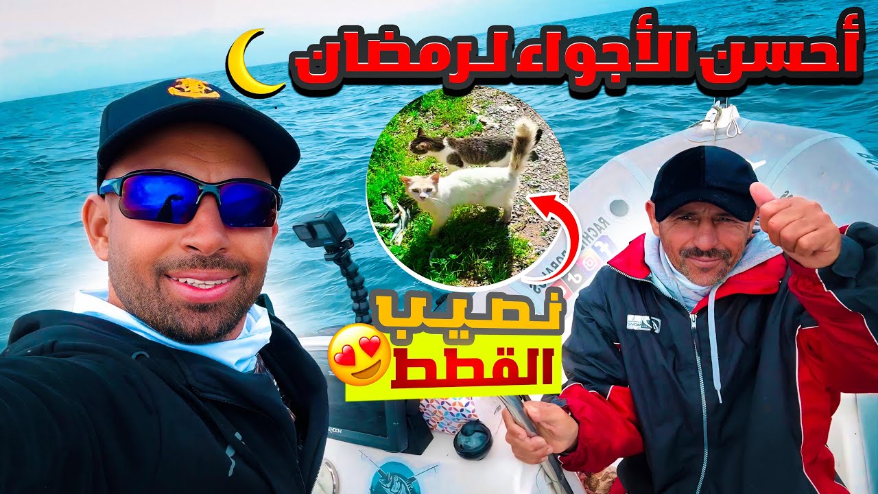 أحسن الأجواء لرمضان في البحر 🌙 صيد السمك 🎣ونصيب  القطط من الحصيلة! 😍
