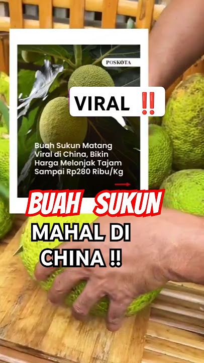 WOW‼️ BREADFRUIT COSTS MILLIONS 😱 #trending #shorts #breadfruit #china