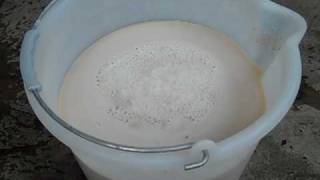 Add Yeast to Start the Fermentation Process