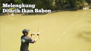 Download Lagu KIRA KIRA IKAN APA INI ? || MANCING DI SUNGAI CIMANUK
