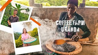 uganda - coffee farm