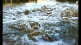 Shark Night 3D Official Trailer HD