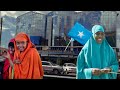 Unveiling the hidden stories of the somalis thrilling influence in kenya